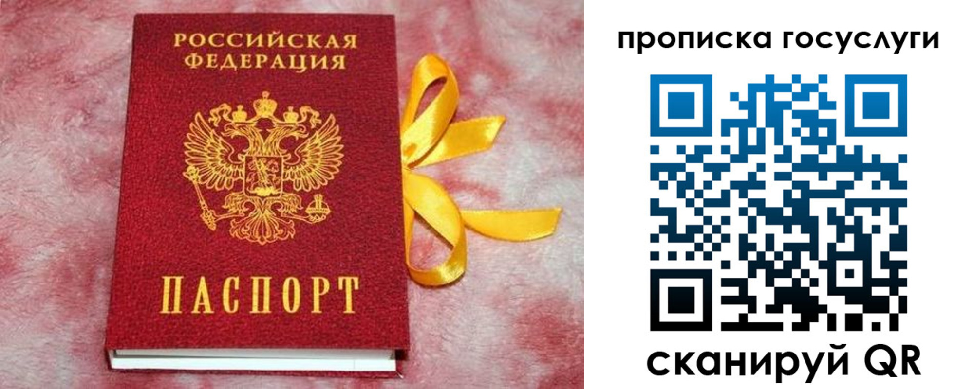 прописка законно в Звенигово