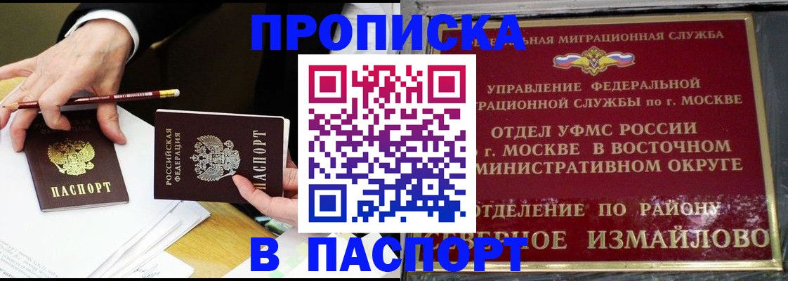 прописка 2025 в Звенигово